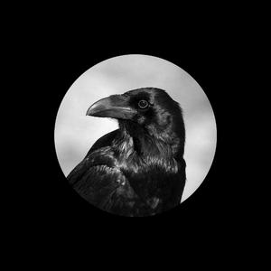 欧美老熟妇❌❌❌❌❌
