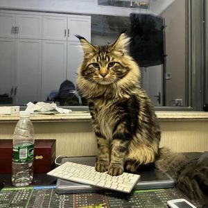 欧美老熟妇❌❌❌❌❌
