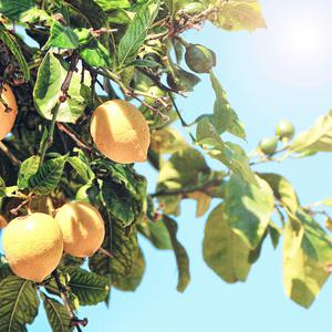 欧美老熟妇❌❌❌❌❌
